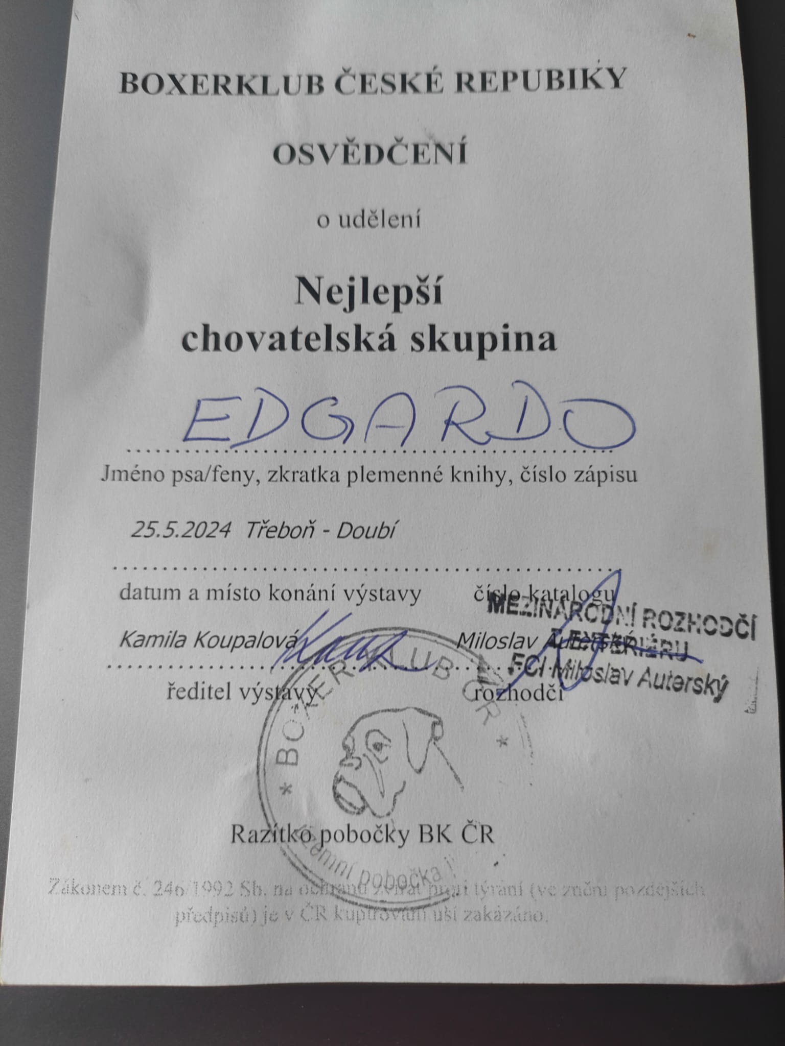 Výstava